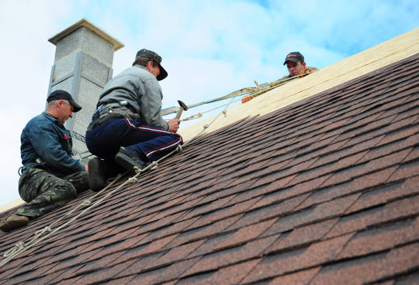 Roof Gutter Cleaning in Coronita, CA